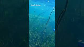 pesca sub            #amém #mensagemdefé #jesusteama #oraçãodanoite #amen #jesuslovesyou #fe #pesca