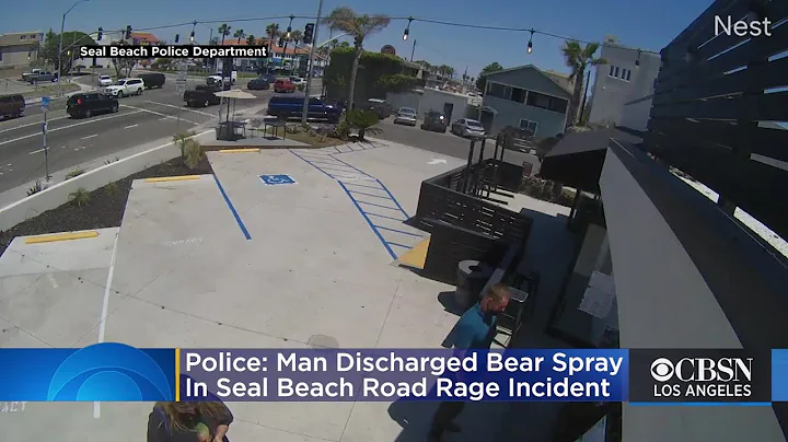 Police: Marcus Kelley Of Hemet Discharged Bear Spr...
