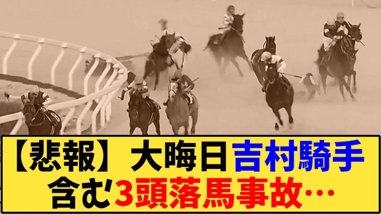 園田競馬 落馬事故 騎手
