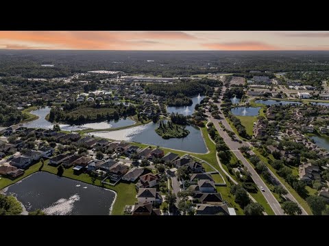 20126 Nob Oak Ave, Tampa, FL home video tour