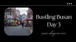 Bustling Busan Markets Grocery Haul