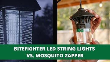 BiteFighter LED String Lights vs. Mosquito Zapper