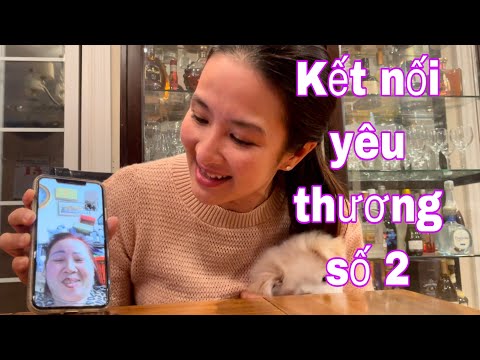 Video TÌM SƯỞI ẤM TỪ VÙNG TUYẾT LẠNH CHICAGO - youtube