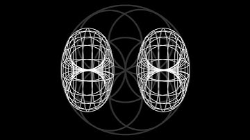 The Torus Evolution #shorts