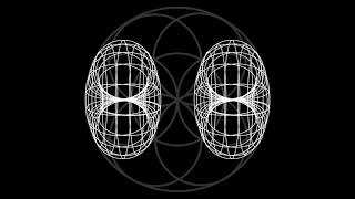 The Torus Evolution #shorts