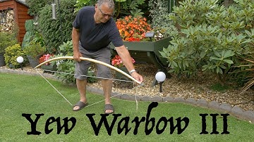 Yew Warbow. Braced but frustrations at the tiller.  Beginner attempts to make a war bow. Part III