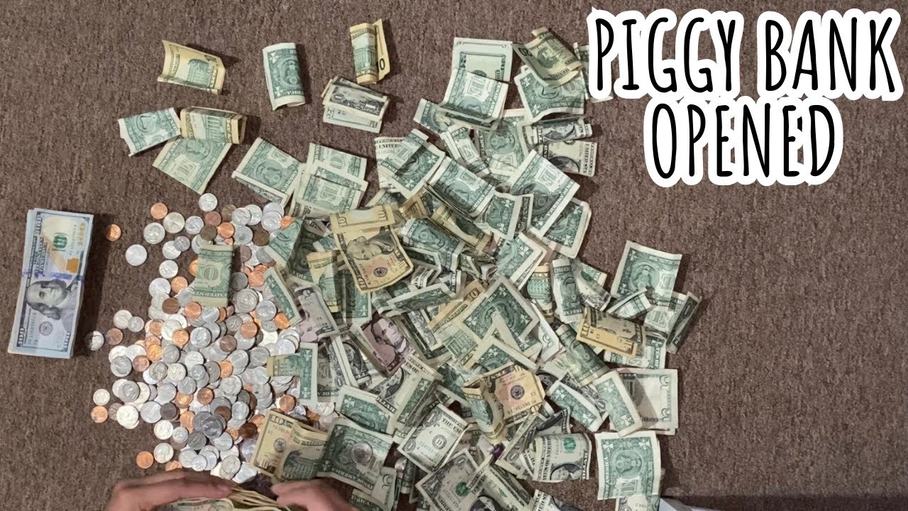 Piggy Bank Opened | August 2023 | Part 1 | Savings
