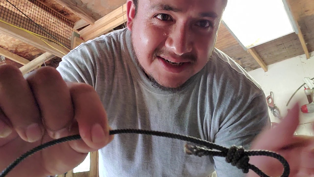 Como hacer una calsa para gallos