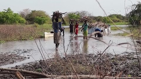 Millions in South Sudan at risk of severe hunger, says U.N.