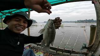 Download Lagu MANCING SETENGAH HARI BANYAK SAMBARAN MP3