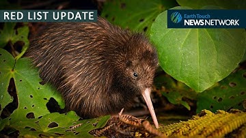 IUCN Red List update