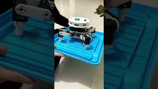 Science Project Robot Balance Using Fuzzy-Pid🤯 #Robot #Robotics #Engineering #Arduino #Robots