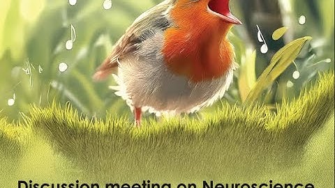 Computing with Rhythms: The search for Deep Oscillatory Neural Networks by V Srinivasa Chakravarthy