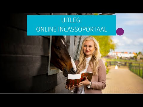 Uitleg online incassoportaal Felix