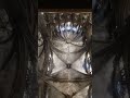 Un instante único en Barcelona: coro en vivo en un templo gótico.
