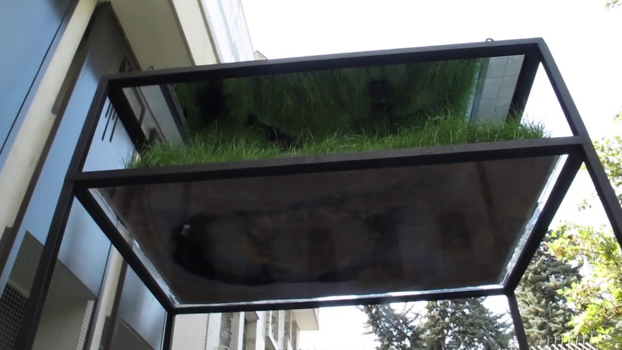 Pooneh Oshidari, "Hideout", 2019