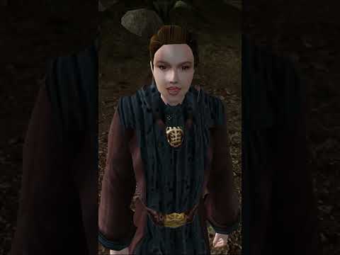 ПОПАЛСЯ ПЕТУШОК #shorts #morrowind #Sileroдобавьтеголосаморровинда #silero #theelderscrolls #skyrim