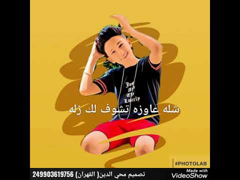 حلات سامر المدني عصفوره مالكه 