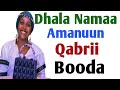 Dhala Namaa Amanuun Qabrii Booda