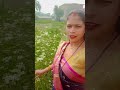 Gori Tori Patari Kamariya Hila Lagta
