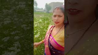 Gori Tori Patari Kamariya Hila Lagta