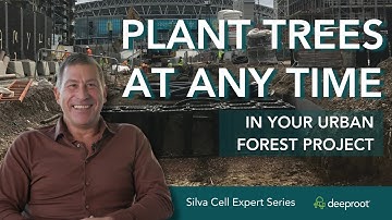Urban Tree-Planting Flexibility with Silva Cells
