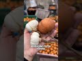 Buah langka tampui #fyp #videoahorts #trending #semuaorang #fruit