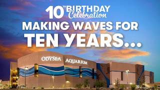OdySea Aquarium Turns 10! A Decade of Ocean Wonders, Conservation & Community Impact @OdySeaAquarium