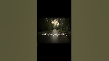 واستغفر الله إن الله كان غفورًا رحيمًا #ياسر_الدوسري #تلاوة_خاشعة #قران #quran #أكتب شي تؤجر عليه🌿🕊