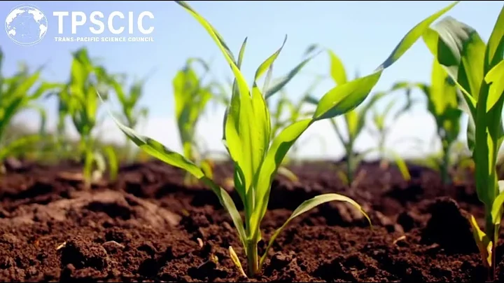 Indigenous Agricultural Practices: A Foundation for Sustainable Farming in the Pacific