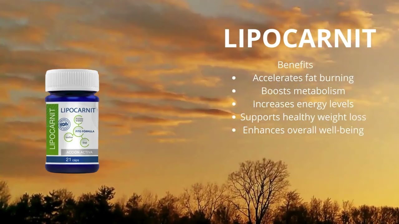 Fast Weight Loss With Liplipocarnit