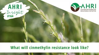 AHRI Insight 164 - What will cinmethylin resistance look like?