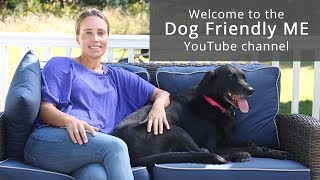 Welcome to the Dog Friendly Maine Channel