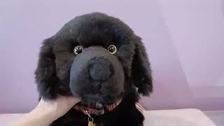 Review of the Teddy Hermann Newfoundland Dog Plush 🖤🐾