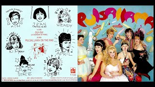 Pulsallama - Oui-Oui (A Canadian In Paris)