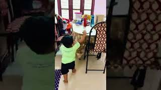 Tom and Jerry 34 #vivekveena #shorts