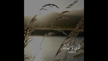 القارئ ياسر الدوسري  | ارح سمعك.. تلاوة هادئة تريح القلب والعقل💙🎧