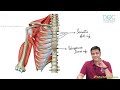 9. Pectoral Region - Part 1 | Upper Limb Anatomy | Dr. Azam | Medical Maven
