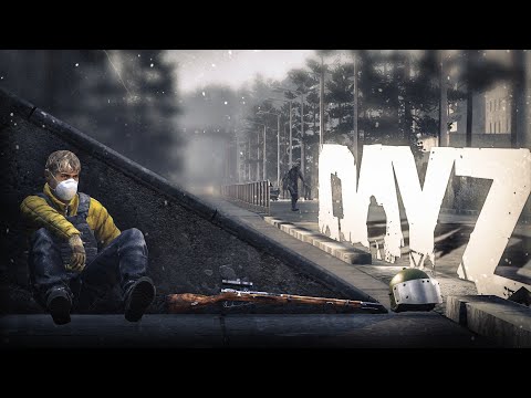 Видео: Моё самое сложное выживание за 6000 часов игры - DayZ