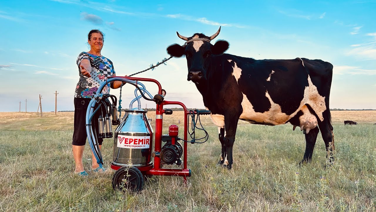 MAMA A PRIMIT CADOU UN APARAT DE MULS  VEPEMIR