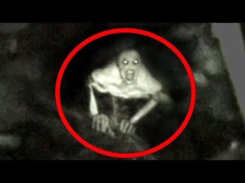 5 Mysterious Creatures Caught On Camera