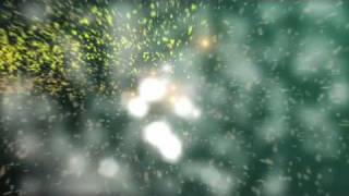 Particular Explosions