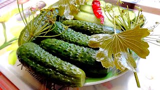 Как замалосолить огурцы 🥒малосольные огурцы суточные Супер рецепт/Хрустящие огурцы с перцем чили #44