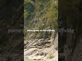 goats on the cliff side #albania