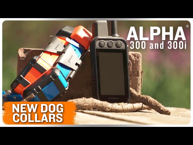 Lead Your Pack with Ease | Alpha® 300 series