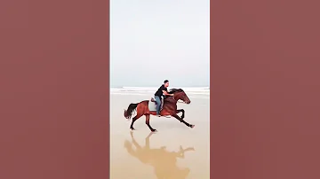 صوت حوافر الخيل تبارك الله 
