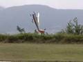 Tecnam P92 RC Torqueroll