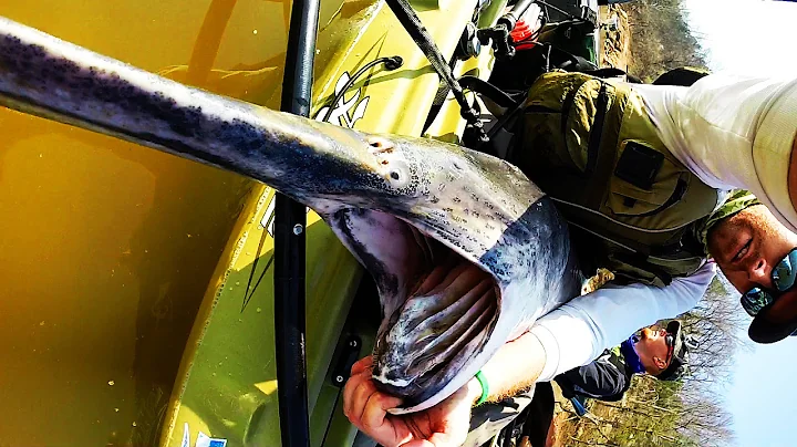 Kayak Fishing: HUGE Prehistoric Paddlefish | Field...