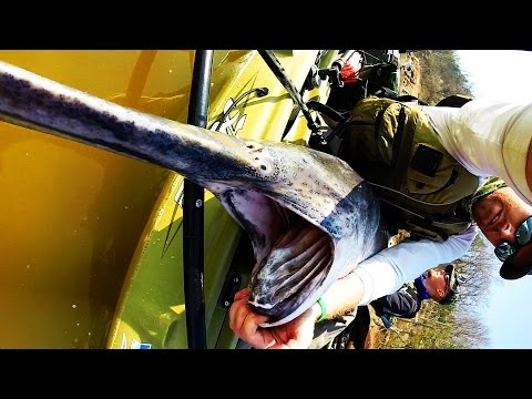 Kayak Fishing: HUGE Prehistoric Paddlefish