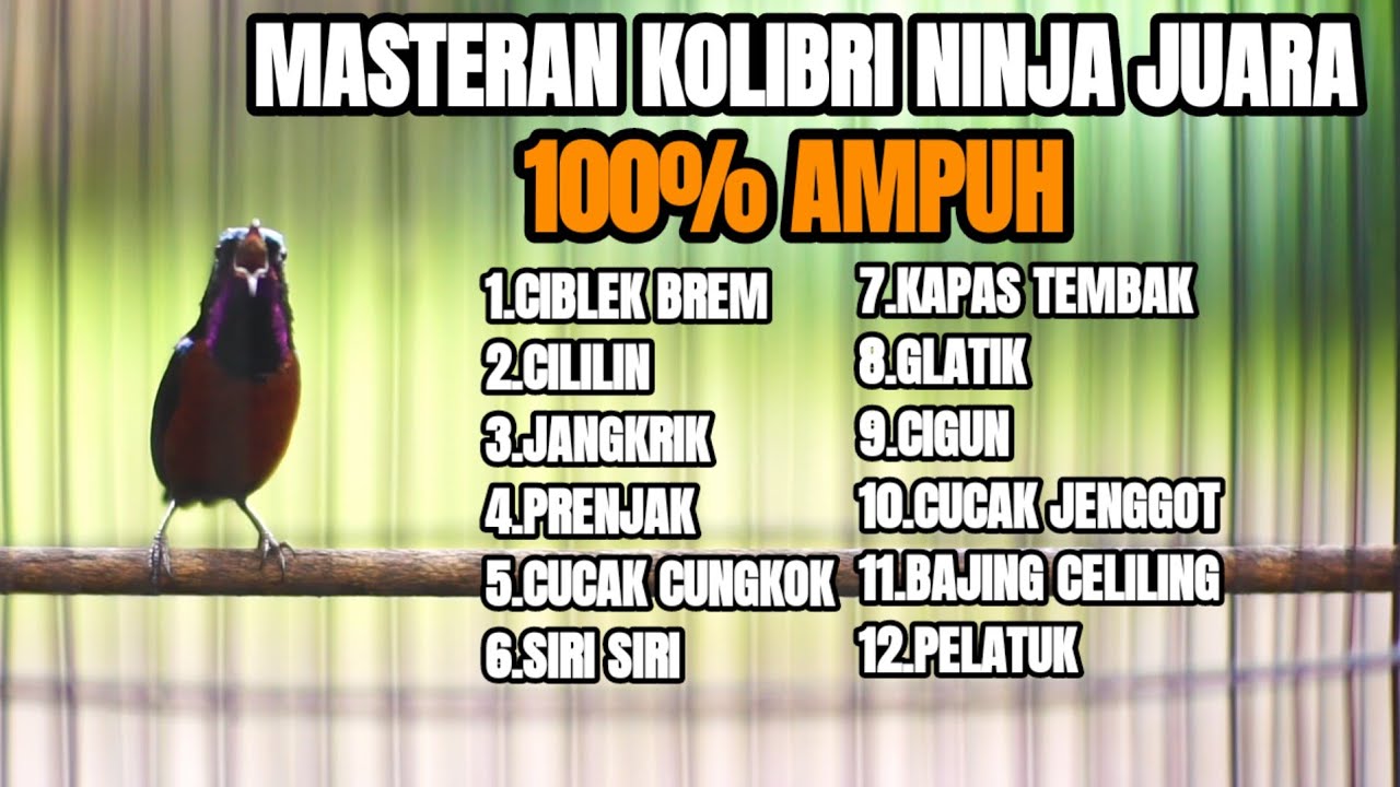 MASTERAN KONIN FULL TEMBAKAN MEWAH MATERI TERBAIK SEPANJANG MASA 100% JUARA